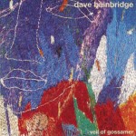 Review: Dave Bainbridge - Veil of Gossamer